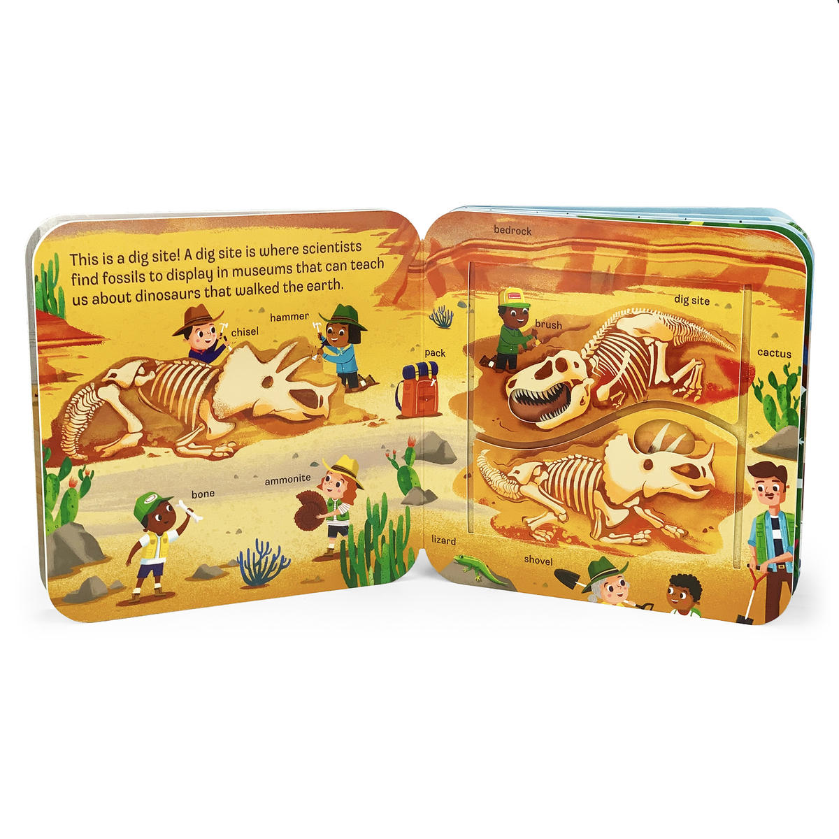 Dino Peek-a Flap
