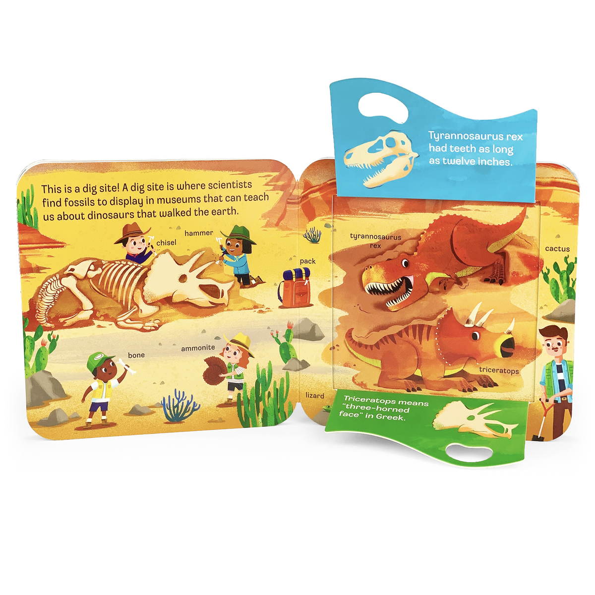 Dino Peek-a Flap