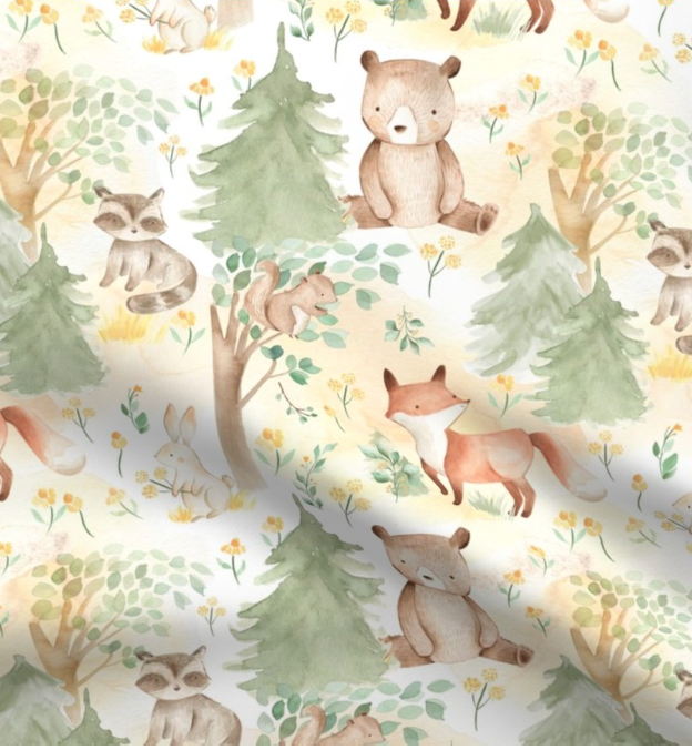 Autumn Forest Nursery Nature
