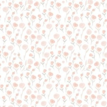 Blush Pink Poppies