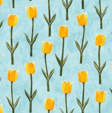 Yellow Holland Tulips