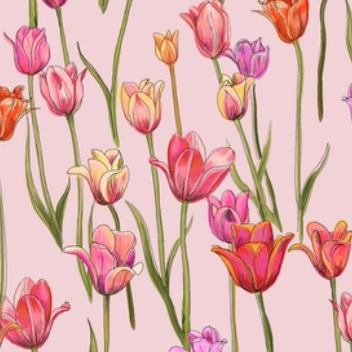 Dutch Tulips