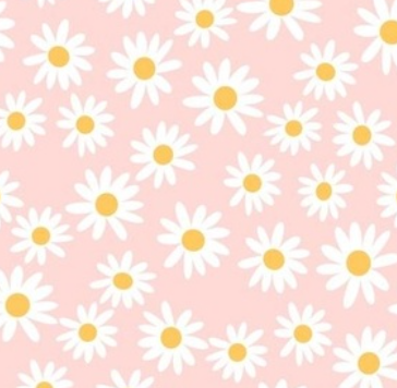 Pink Daisies