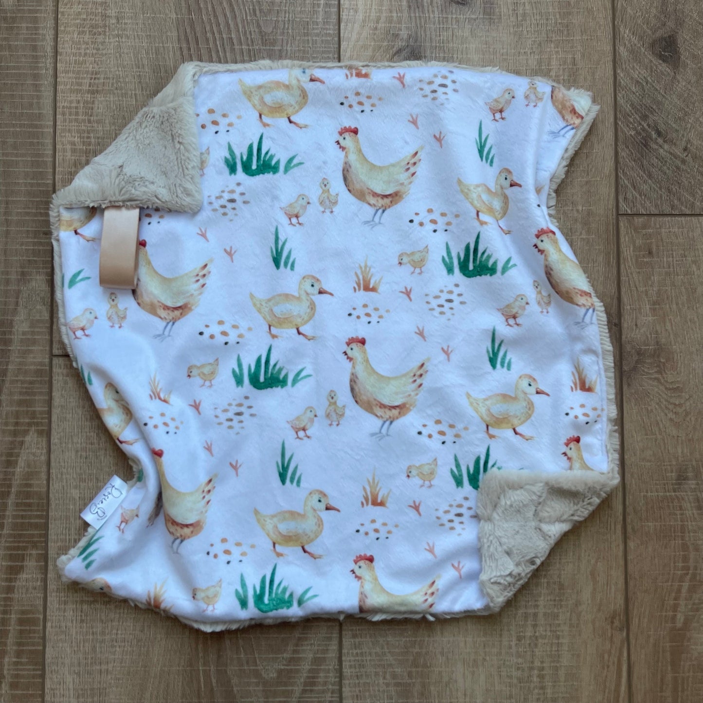 Chicken and Ducks