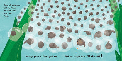 Nature Stories: Little Frog-Discover an Amazing Story from the Natural World by IglooBooks: Board Books; 24 pages / English