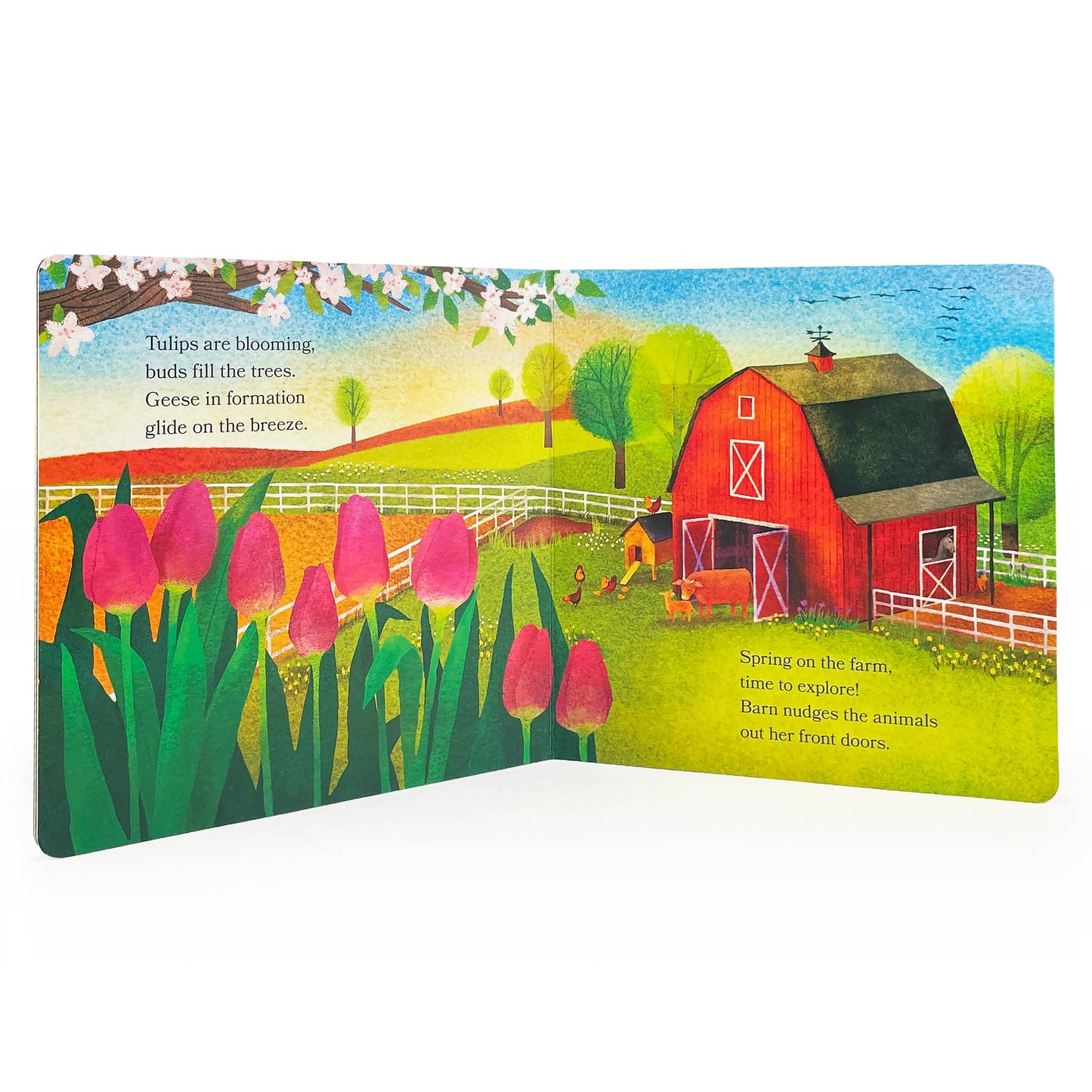 Barn in Spring: Out to Explore on the Farm Board Book