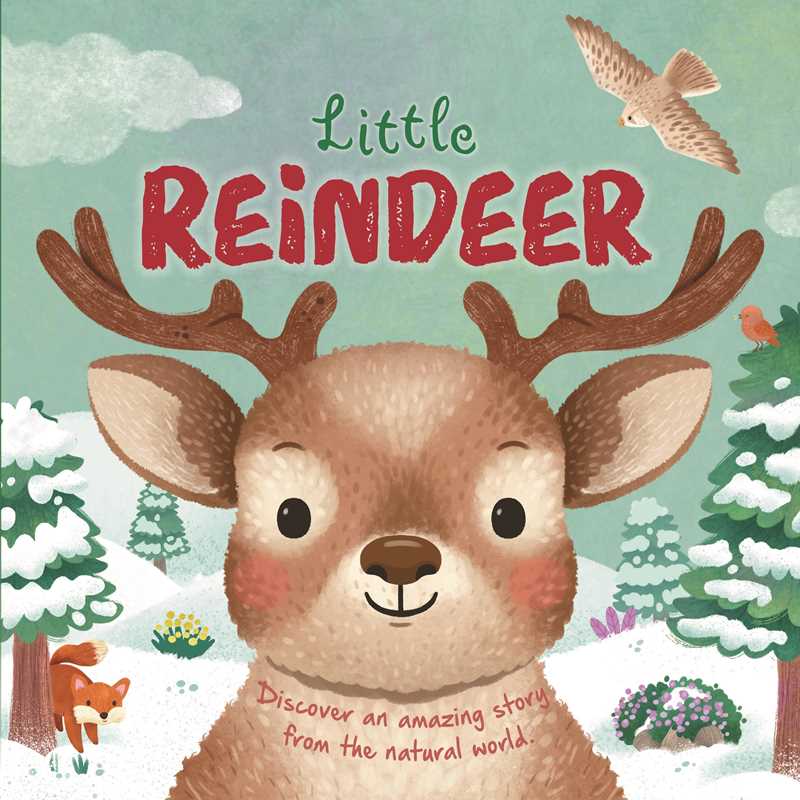 Nature Stories: Little Reindeer by IglooBooks: Board Books; 24 pages / English