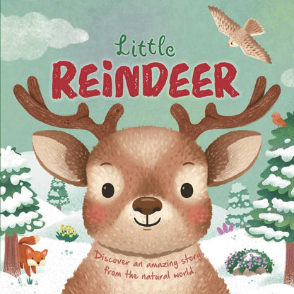 Nature Stories: Little Reindeer by IglooBooks: Board Books; 24 pages / English