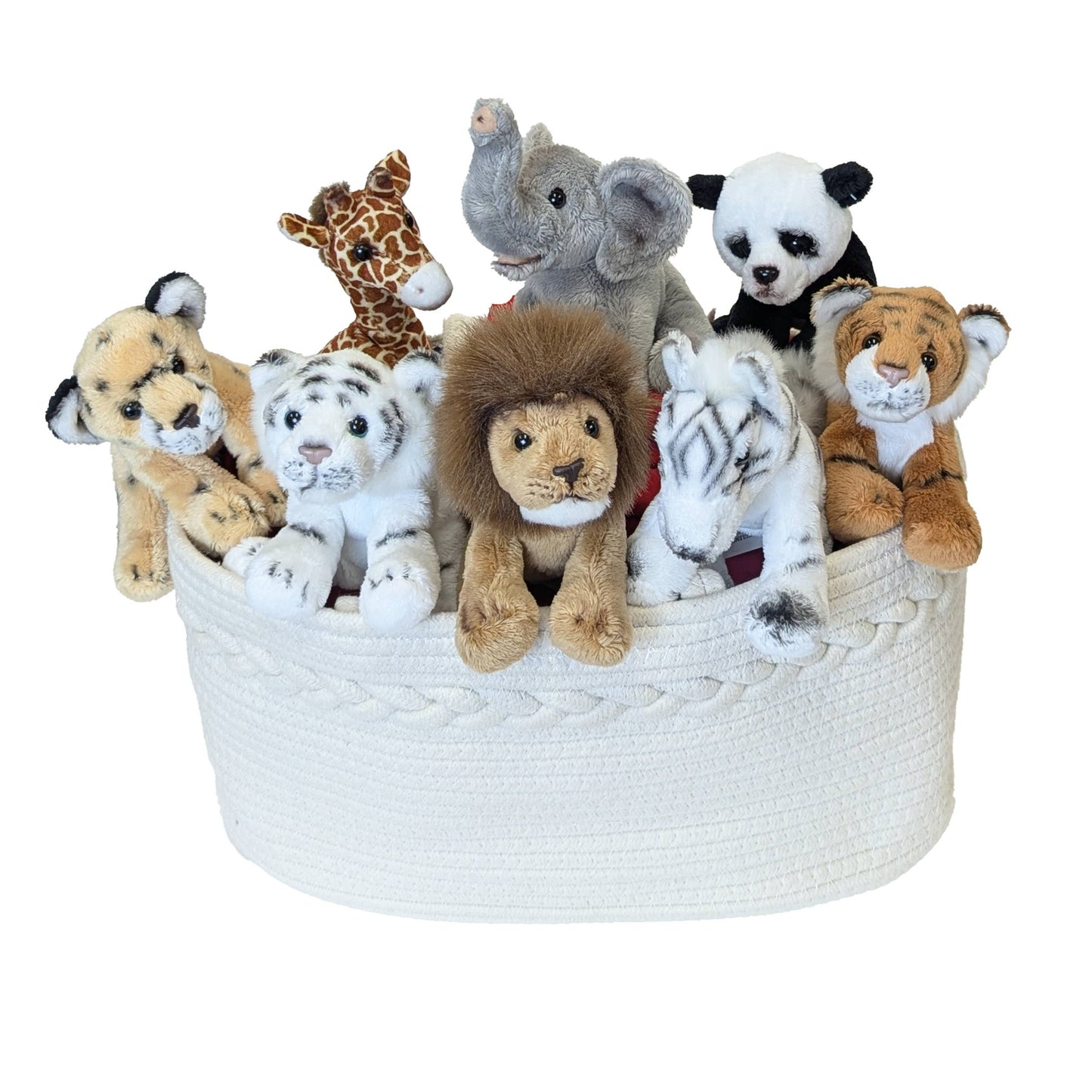 5IN JUNGLE TIGER WHITE-LILY