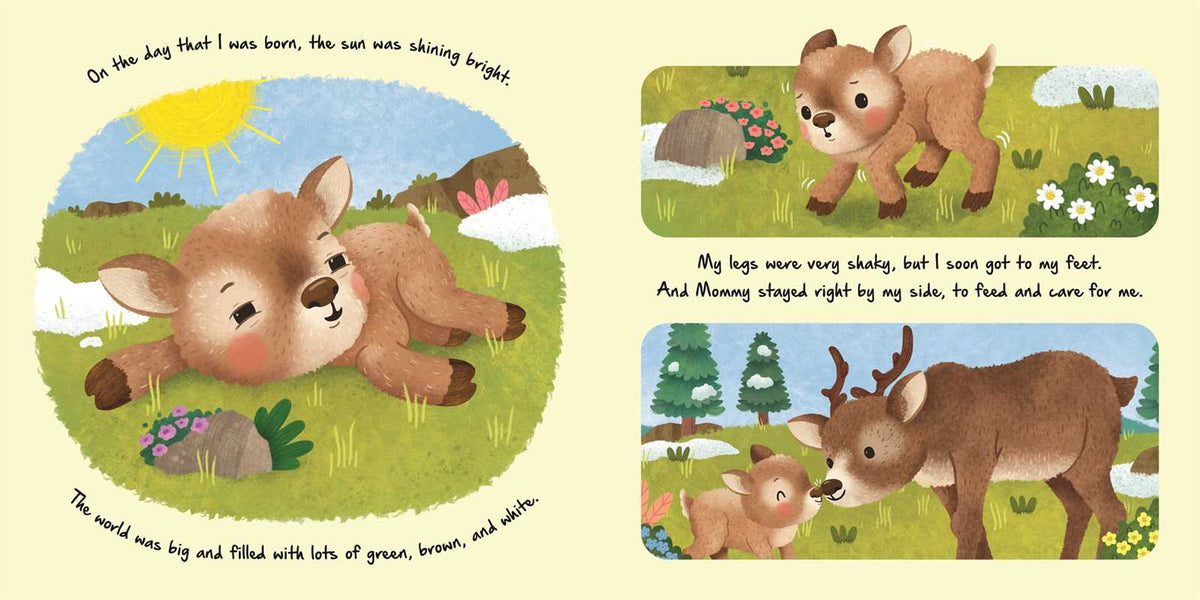 Nature Stories: Little Reindeer by IglooBooks: Board Books; 24 pages / English