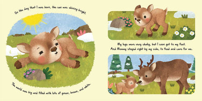Nature Stories: Little Reindeer by IglooBooks: Board Books; 24 pages / English