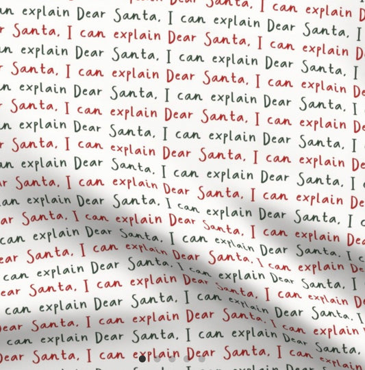 Dear Santa, I Can Explain