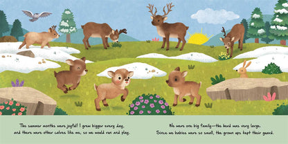 Nature Stories: Little Reindeer by IglooBooks: Board Books; 24 pages / English