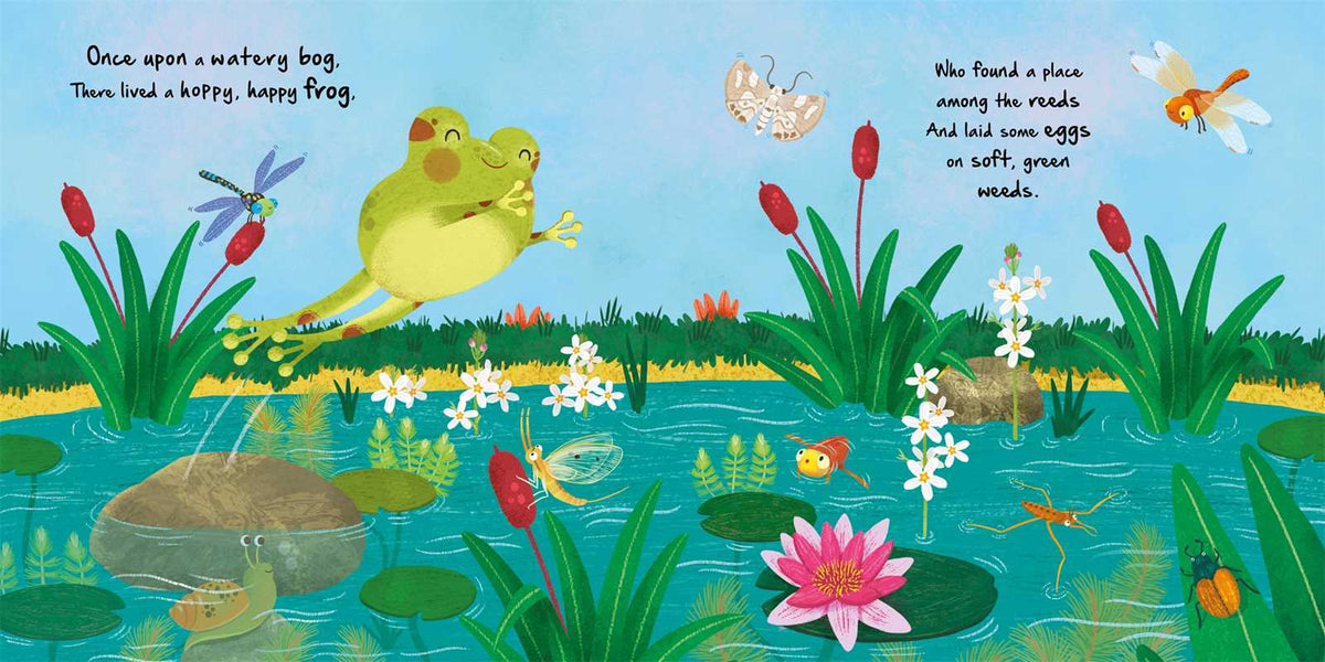 Nature Stories: Little Frog-Discover an Amazing Story from the Natural World by IglooBooks: Board Books; 24 pages / English