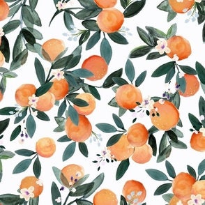 Fruit Oranges
